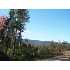 2149 Schoenstein, Dixfield, ME - MLS 952465