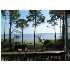 1535 FULLER DR, GULF BREEZE, FL - MLS 377678