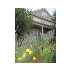 45 Hosmer St, Watertown, MA - MLS 70986708