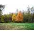 5 Lord Brook Rd, Burlington, ME - MLS 952698