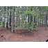 127 Mandarina Way, Hot Springs Village, AR - MLS 10237944