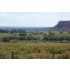 1,240 Acres in Kanab, Kanab, UT - MLS 09-114352