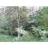 3806 Ginger Road, Chapel Hill, NC - MLS 1690670