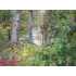 6 Tules Landing Ln, Westview, KY - MLS 53103