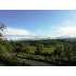 5111 113th Ave SE, Snohomish, WA - MLS 29146105