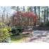 1215 Dogwood, Orangeburg, SC - MLS 33814