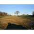 2400 Biggs Rd, West Paducah, KY - MLS 53427