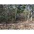 0 VIXEN LANE, GERRARDSTOWN, WV - MLS BE7179492