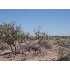 DR Unit 15, Deming, NM - MLS 20109468
