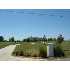 8661 N WALNUT, MUNCIE, IN - MLS 39810