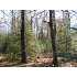 G10-19 SOUTH BAY TR, , WI - MLS 107055