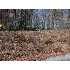 0 TRAPPER RD, HEDGESVILLE, WV - MLS MO7190181