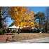 38 Mason Road, Dudley, MA - MLS 70994721