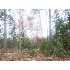 2166 Berry, Dixfield, ME - MLS 954447