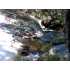 2408 Garcia Court, Mariposa, CA - MLS 17396
