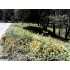 5653 Piute Court, Mariposa, CA - MLS 17444