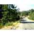 3677 Quail Ridge Estate, Mariposa, CA - MLS 17309