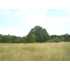 4300 Old Mayfield Road, Paducah, KY - MLS 45453