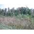 0 Pettijohn, McKenzie, TN - MLS 102942