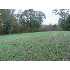 0 Robinson Levee Rd., Huntingdon, TN - MLS 103045
