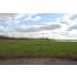 0 Veach Rd, Owensboro, KY - MLS 53207