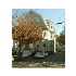 15 Exeter St, Belmont, MA - MLS 70997668