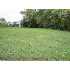 1241 Montgomery Avenue, Petersburg, VA - MLS 2934178
