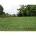 1239 Montgomery Avenue, Petersburg, VA - MLS 2934181