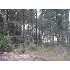 0 Jacob Hall Road, Tifton, GA - MLS 117767