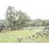5 acres off Triangle , Mariposa, CA - MLS 17265