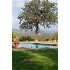 3883 Guadalupe Creek Road, Mariposa, CA - MLS 17617