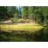 3236 E Westfall Road, Mariposa, CA - MLS 17039
