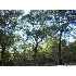 1.50 ACRES Hidden Deer, LA VERNIA, TX - MLS 807912