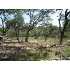 LOT 18 Silver Hills Dr, Boerne, TX - MLS 809566