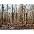 TBD Salt Creek Road, Benton, AR - MLS 10240965