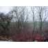0 TWP 181, Fredericktown, OH - MLS 20091090