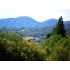 5669 Darrah Rd., Mariposa, CA - MLS 16960