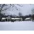 9250 WINEGAR RD, LAINGSBURG, MI - MLS 197952