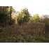 141 William A. Campbell Road, Sheldon, SC - MLS 122257