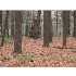 100 Maple Street, Sherborn, MA - MLS 71012384