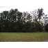 29 Stuart Street, Seabrook, SC - MLS 122291