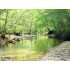 County Road 224, Sedgewickville, MO - MLS 63110