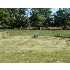 7325 CROSS CREEK DRIVE, LAINGSBURG, MI - MLS 198188