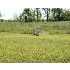 8201 COUNTRY FARM LANE, LAINGSBURG, MI - MLS 198204