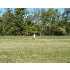 8170 COUNTRY FARM LANE, LAINGSBURG, MI - MLS 198212