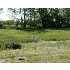 8199 Old Farm Trail Lot 35, LAINGSBURG, MI - MLS 198263
