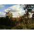 1010 Mail Route Rd, Jefferson, AR - MLS 10243943