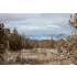 2322 SE Birch Lane, Prineville, OR - MLS 201000268