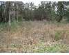 Click here to View Real Estate near 112 rookery trail Pawleys Island, SC 29585 homes near 112 rookery trail Pawleys Island, SC 29585