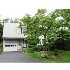 4 Bancroft Road, Wellesley, MA - MLS 71021658